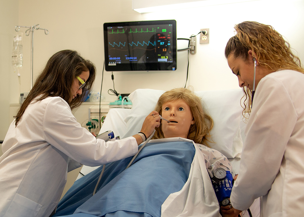 Stevenson University Nursing Programs Achieve 10-Year CCNE Accreditation